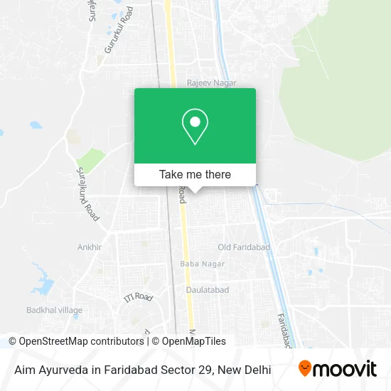Aim Ayurveda in Faridabad Sector 29 map