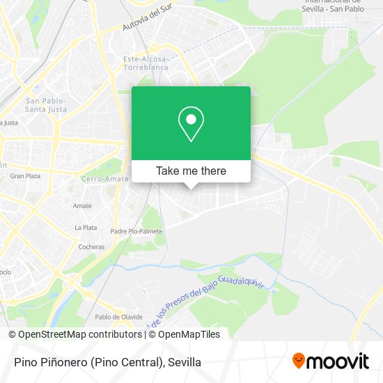Pino Piñonero (Pino Central) map