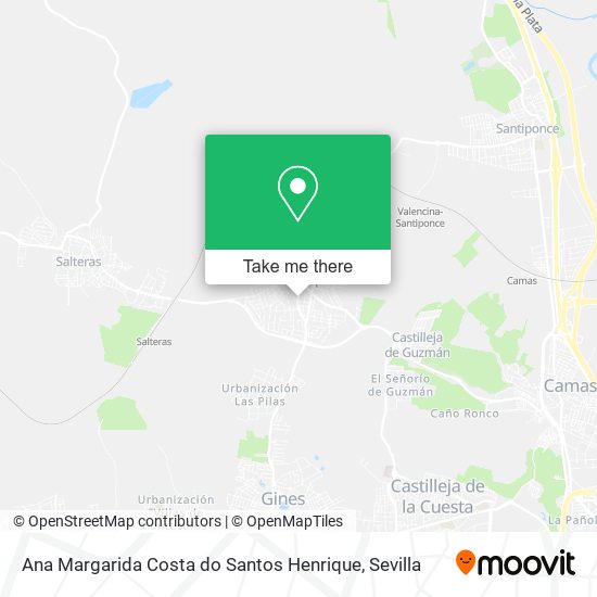 Ana Margarida Costa do Santos Henrique map
