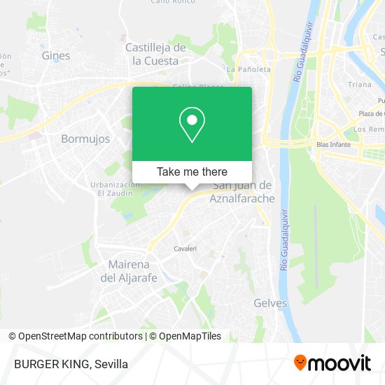 BURGER KING map