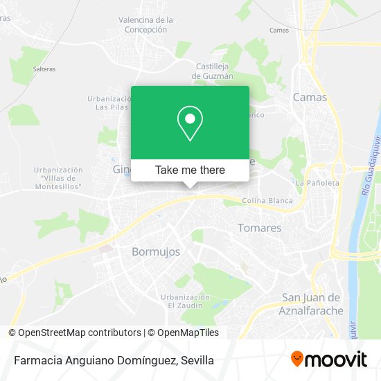 Farmacia Anguiano Domínguez map