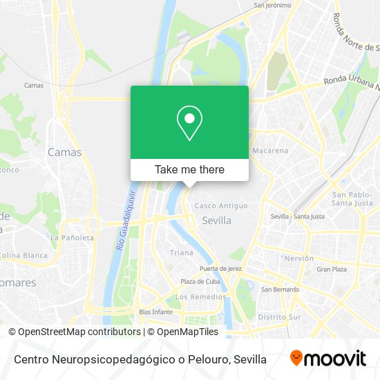 Centro Neuropsicopedagógico o Pelouro map