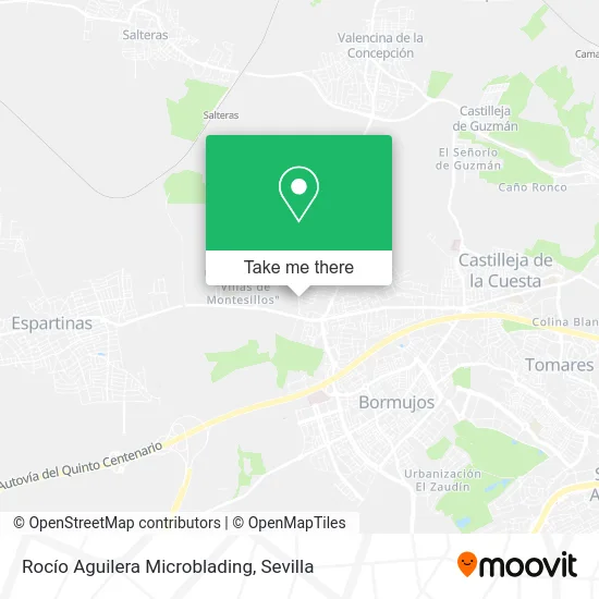 mapa Rocío Aguilera Microblading