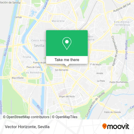 Vector Horizonte map
