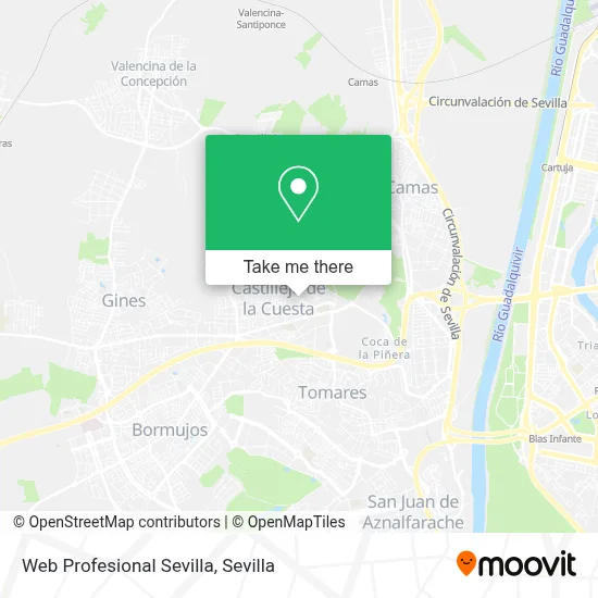 Web Profesional Sevilla map