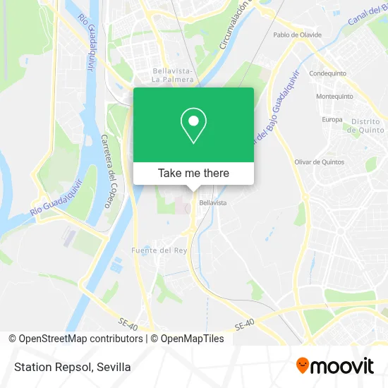 Station Repsol map