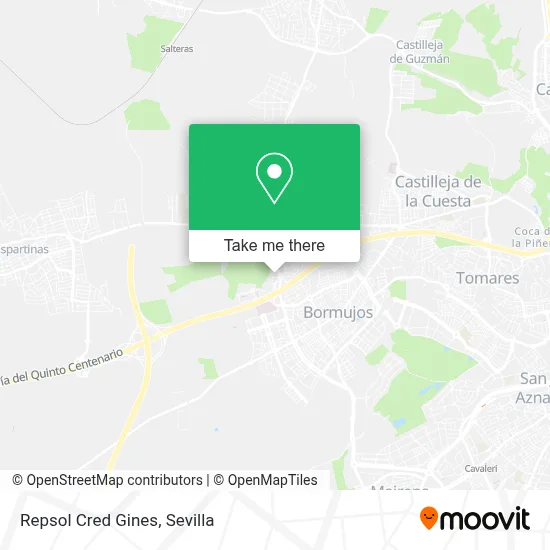 Repsol Cred Gines map