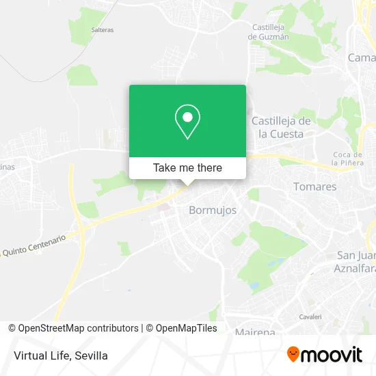 Virtual Life map
