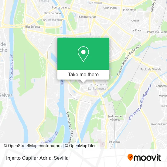 Injerto Capilar Adria map
