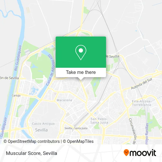 Muscular Score map