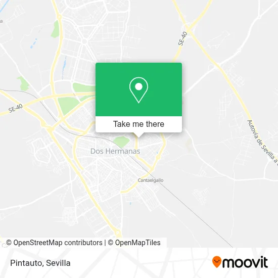 Pintauto map