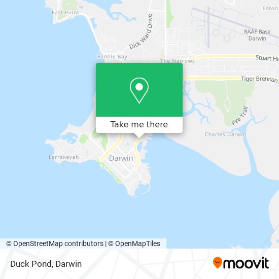 Duck Pond map