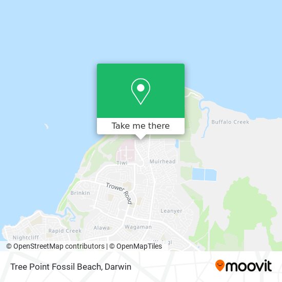 Tree Point Fossil Beach map