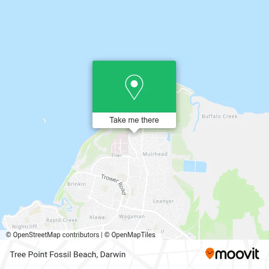 Mapa Tree Point Fossil Beach