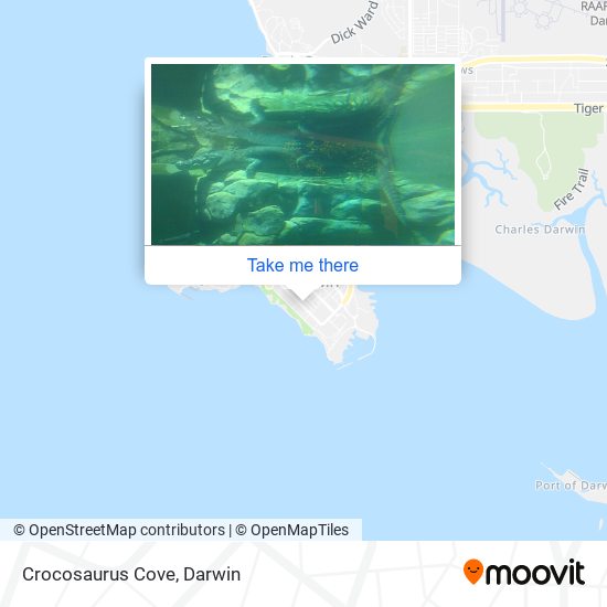 Crocosaurus Cove map