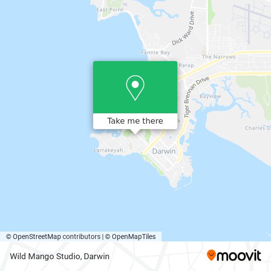 Mapa Wild Mango Studio