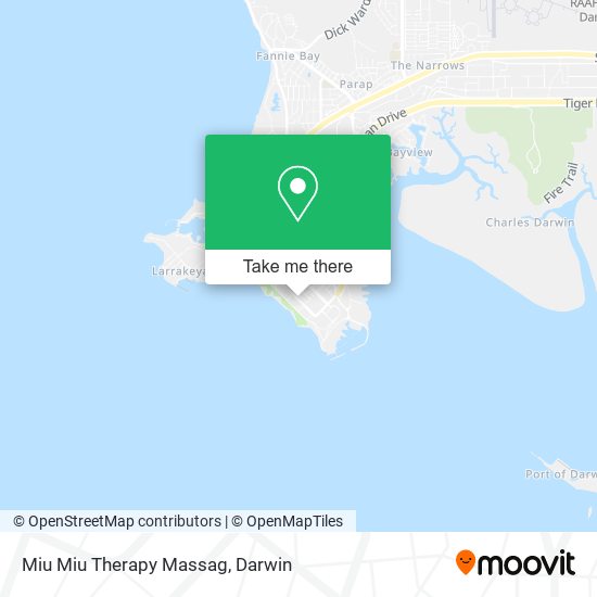 Miu Miu Therapy Massag map
