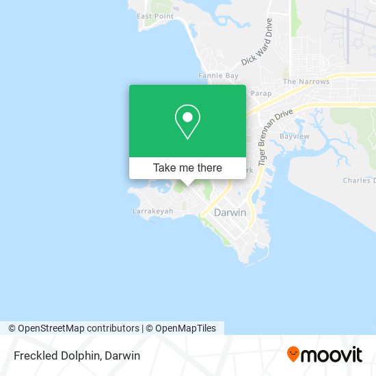 Freckled Dolphin map