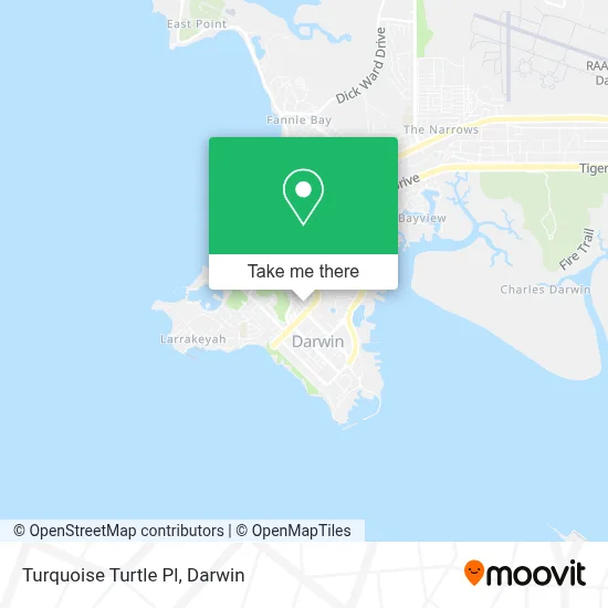 Mapa Turquoise Turtle Pl