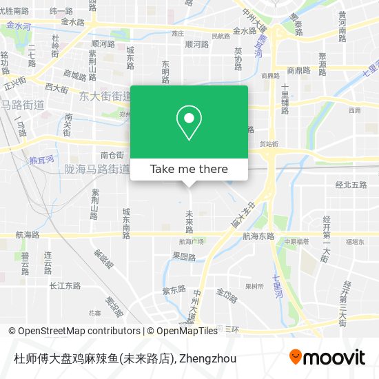 杜师傅大盘鸡麻辣鱼(未来路店) map