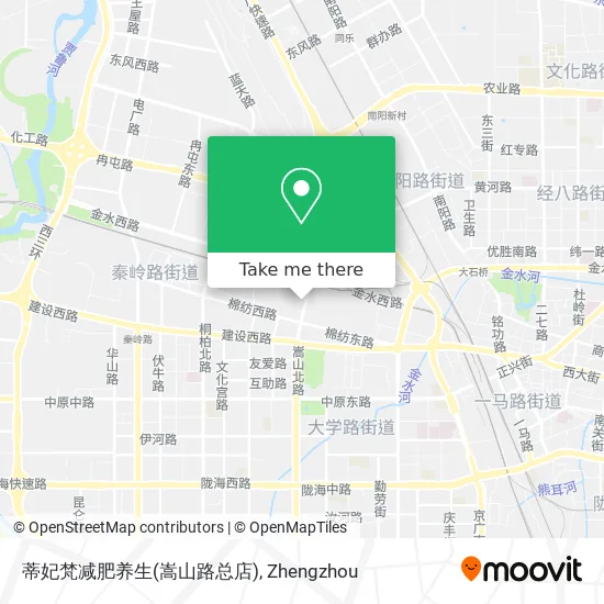 蒂妃梵减肥养生(嵩山路总店) map