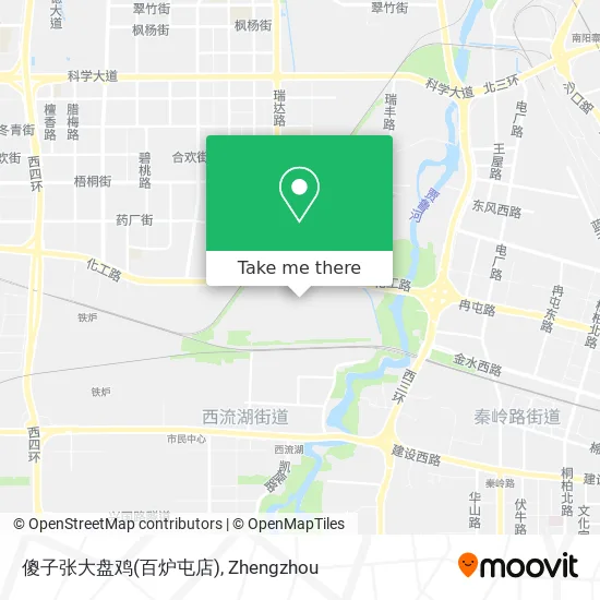 傻子张大盘鸡(百炉屯店) map
