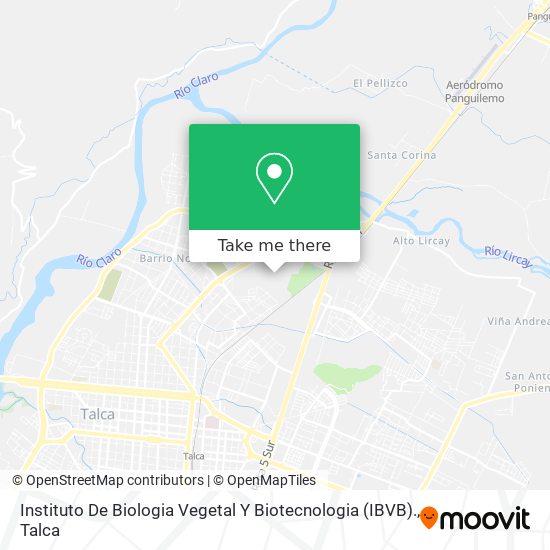 Instituto De Biologia Vegetal Y Biotecnologia (IBVB). map