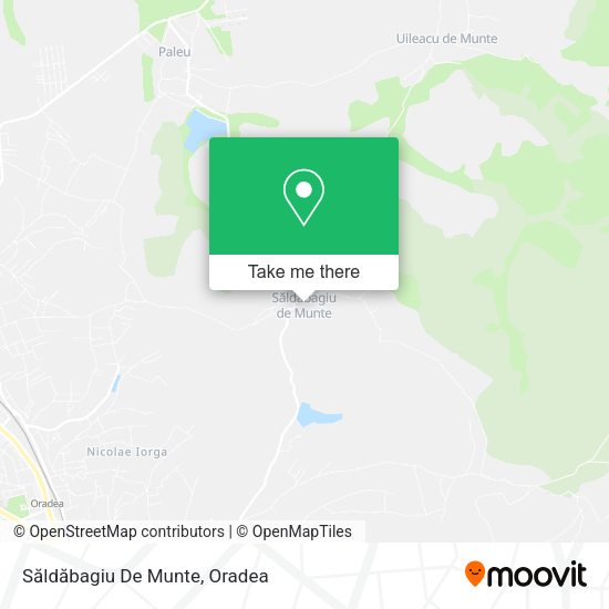 Săldăbagiu De Munte map