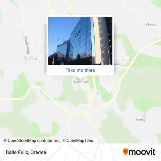 Băile Felix map