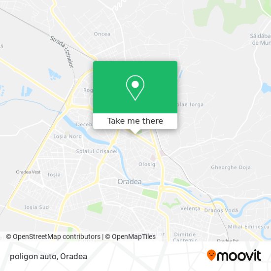 poligon auto map