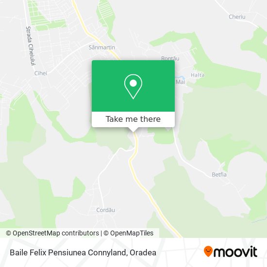Baile Felix Pensiunea Connyland map