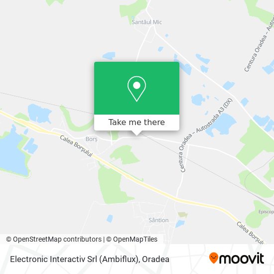 Electronic Interactiv Srl (Ambiflux) map