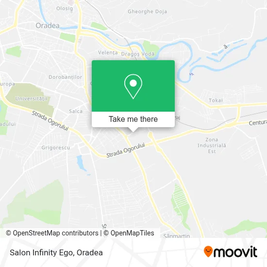 Salon Infinity Ego map