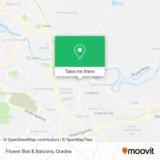 Flower Box & Baloons map