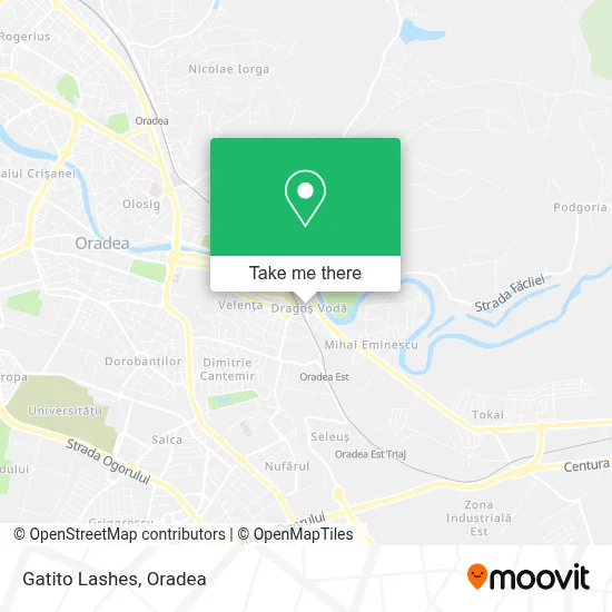 Gatito Lashes map