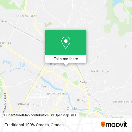 Traditional 100% Oradea map