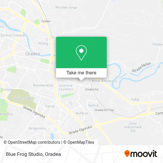 Blue Frog Studio map