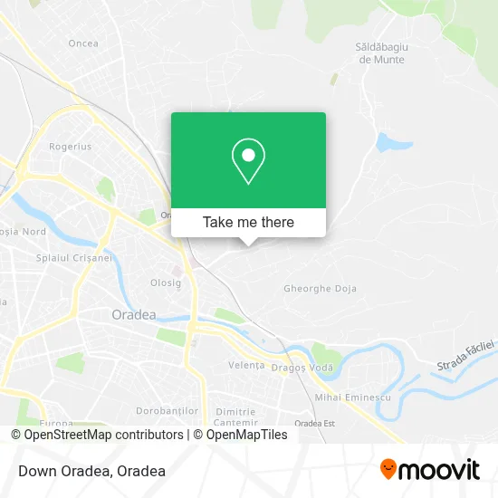Down Oradea map
