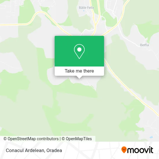 Conacul Ardelean map