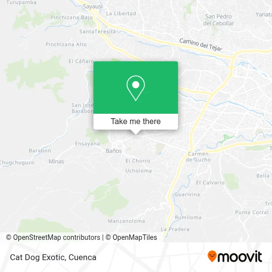 Cat Dog Exotic map