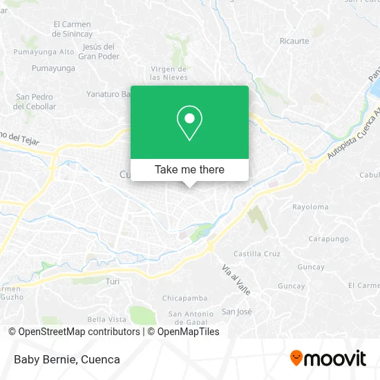 Baby Bernie map