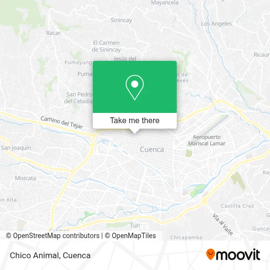 Chico Animal map