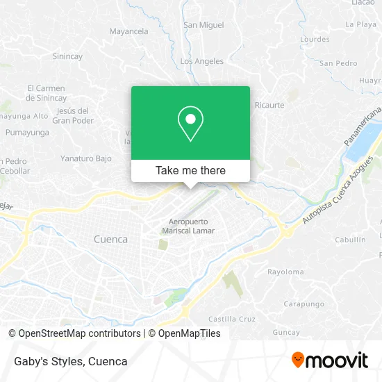 Gaby's Styles map