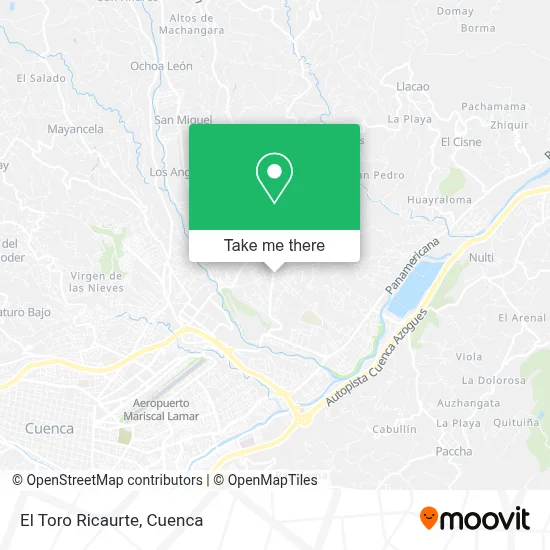El Toro Ricaurte map