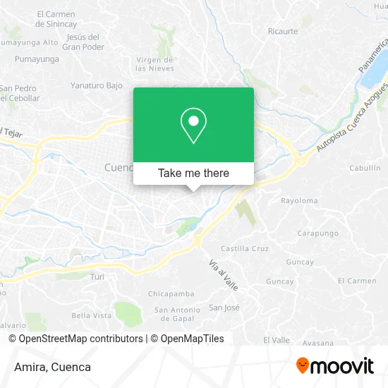 Amira map
