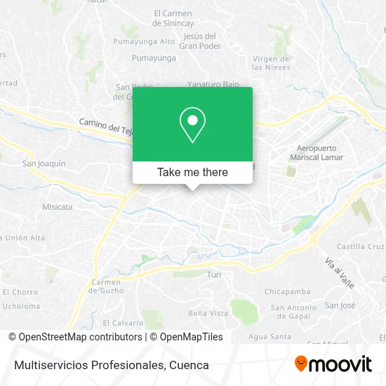 Multiservicios Profesionales map
