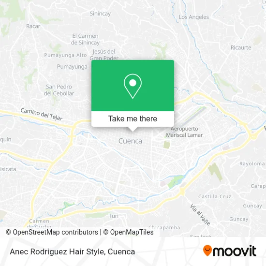 Anec Rodriguez Hair Style map