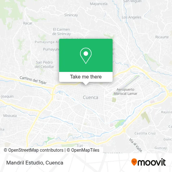 Mandril Estudio map