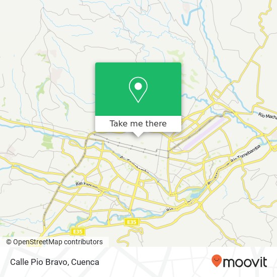 Calle Pio Bravo map