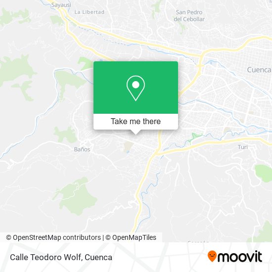 Calle Teodoro Wolf map